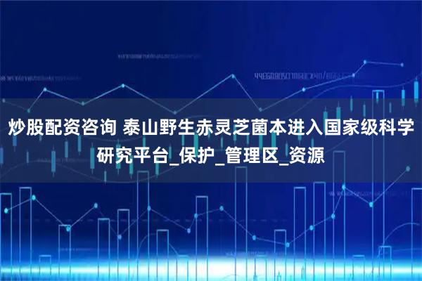 炒股配资咨询 泰山野生赤灵芝菌本进入国家级科学研究平台_保护_管理区_资源